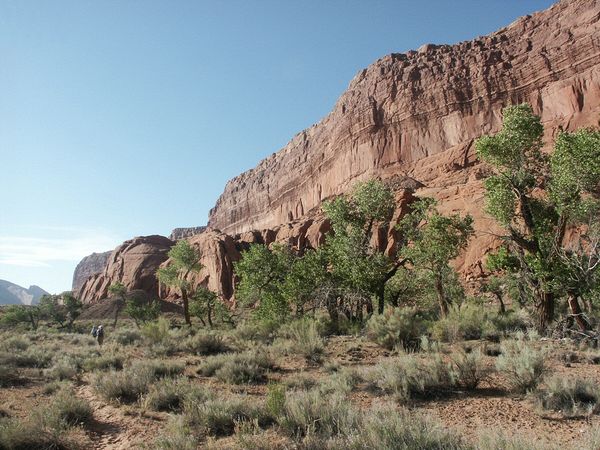 <% Response.Write ImageTitle %>